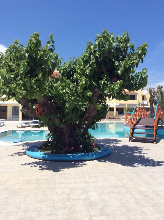 Angelos Beach Hotel Faliraki Eksteriør billede